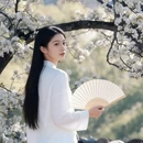 阿坝旅游 缩略图 4
