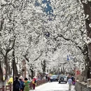 阿坝旅游 缩略图 5
