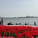 苏州旅游 缩略图 9
