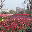 盐城旅游 缩略图 1