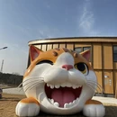 池州旅游 缩略图 1
