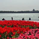 苏州旅游 缩略图 1