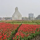盐城旅游 缩略图 4
