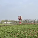 盐城旅游 缩略图 5