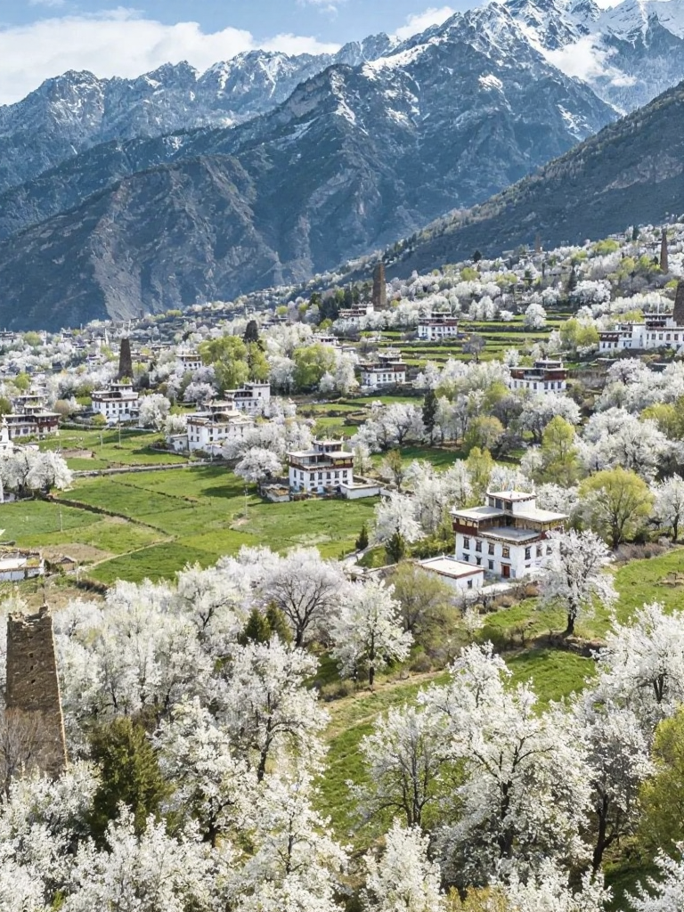 阿坝旅游