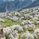 阿坝旅游 缩略图 1