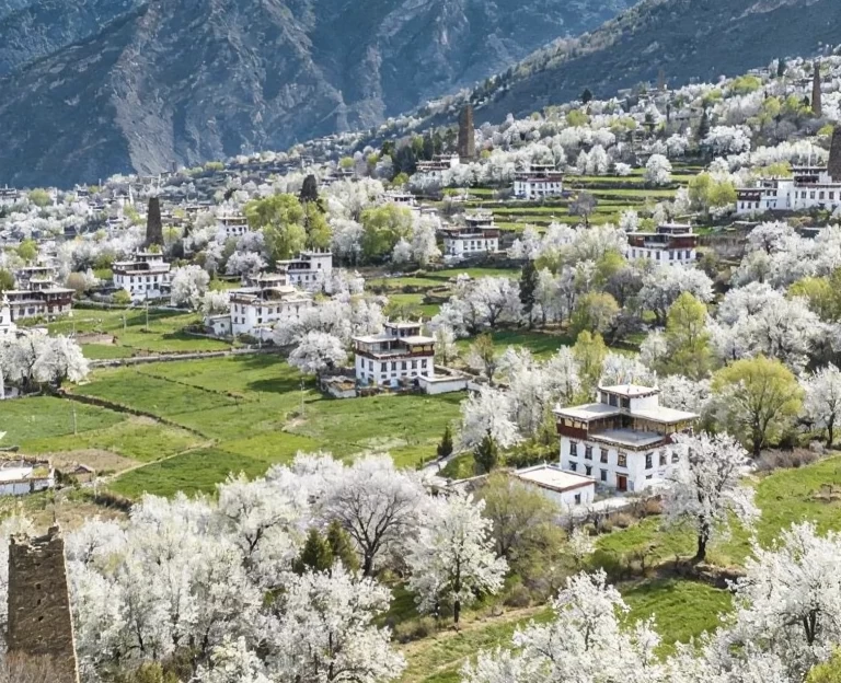 阿坝旅游 1