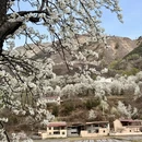 甘孜旅游 缩略图 2
