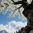 阿坝旅游 缩略图 3