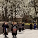 甘孜旅游 缩略图 6