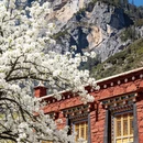 阿坝旅游 缩略图 7