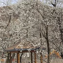 阿坝旅游 缩略图 10