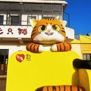 池州旅游 缩略图 8