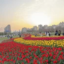 上饶旅游 缩略图 1