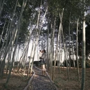 池州旅游 缩略图 9