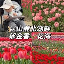苏州旅游 缩略图 1