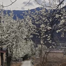阿坝旅游 缩略图 12