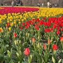 上饶旅游 缩略图 2