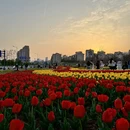 上饶旅游 缩略图 4