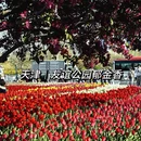 天津旅游 缩略图 1