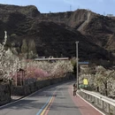 甘孜旅游 缩略图 9