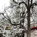 成都旅游 缩略图 8