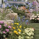 苏州旅游 缩略图 3