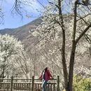 阿坝旅游 缩略图 3