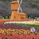 苏州旅游 缩略图 8
