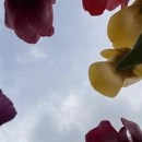苏州旅游 缩略图 9