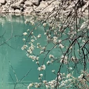 阿坝旅游 缩略图 7