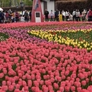 西安旅游 缩略图 2