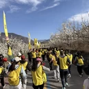 甘孜旅游 缩略图 14
