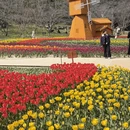 苏州旅游 缩略图 9