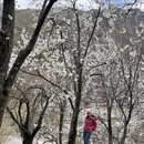 阿坝旅游 缩略图 9