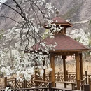 阿坝旅游 缩略图 11