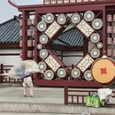西安旅游 缩略图 5