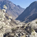 阿坝旅游 缩略图 12