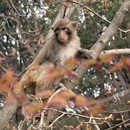 苏州旅游 缩略图 15