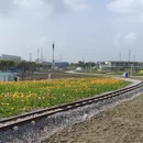苏州旅游 缩略图 1
