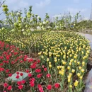 苏州旅游 缩略图 2