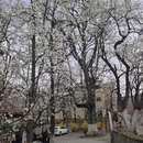 阿坝旅游 缩略图 6