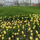 苏州旅游 缩略图 4