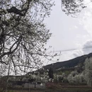 阿坝旅游 缩略图 7