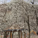 阿坝旅游 缩略图 9