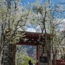 阿坝旅游 缩略图 3