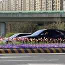 南通旅游 缩略图 3