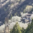 阿坝旅游 缩略图 13