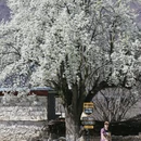 阿坝旅游 缩略图 1