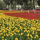 西安旅游 缩略图 11